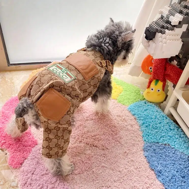 legged dog coat