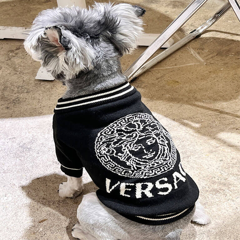 Louis Vuitton ☆ Low Dog Lead & Collar Set Monogram from japan