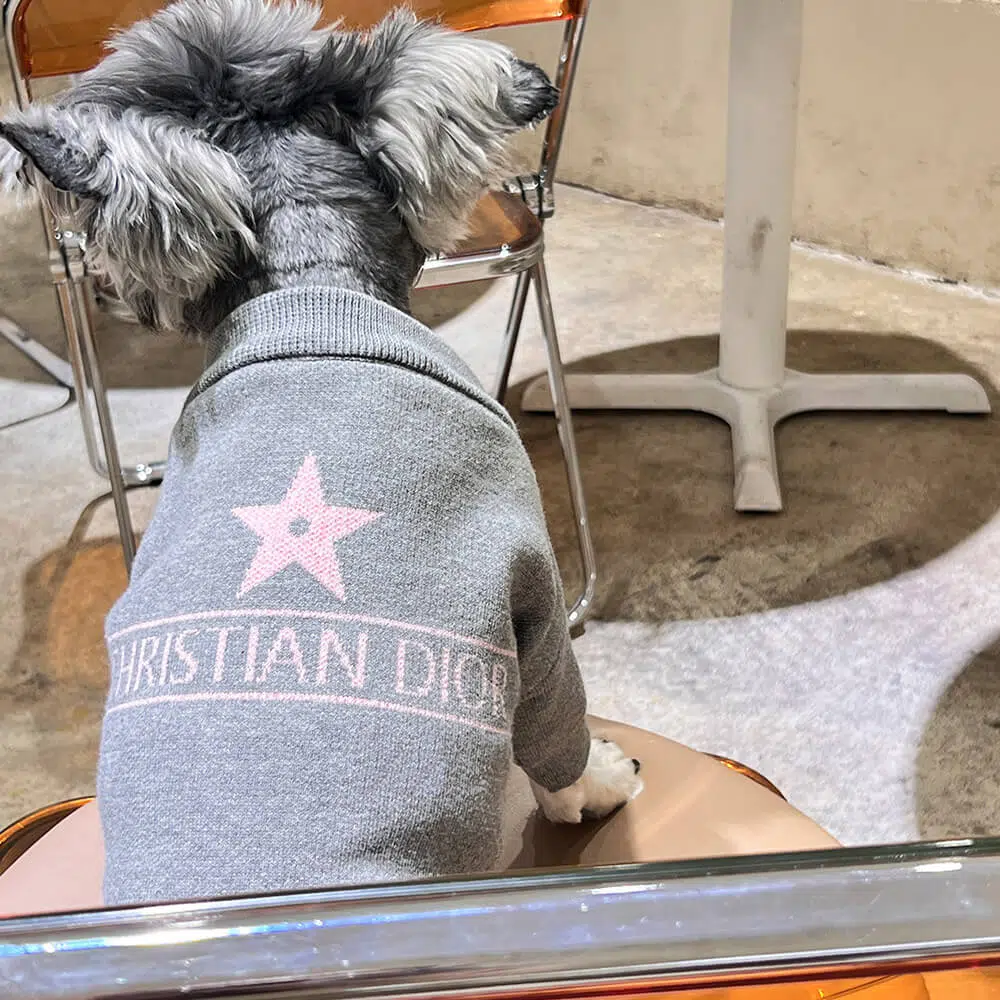 Dior sweater for dog