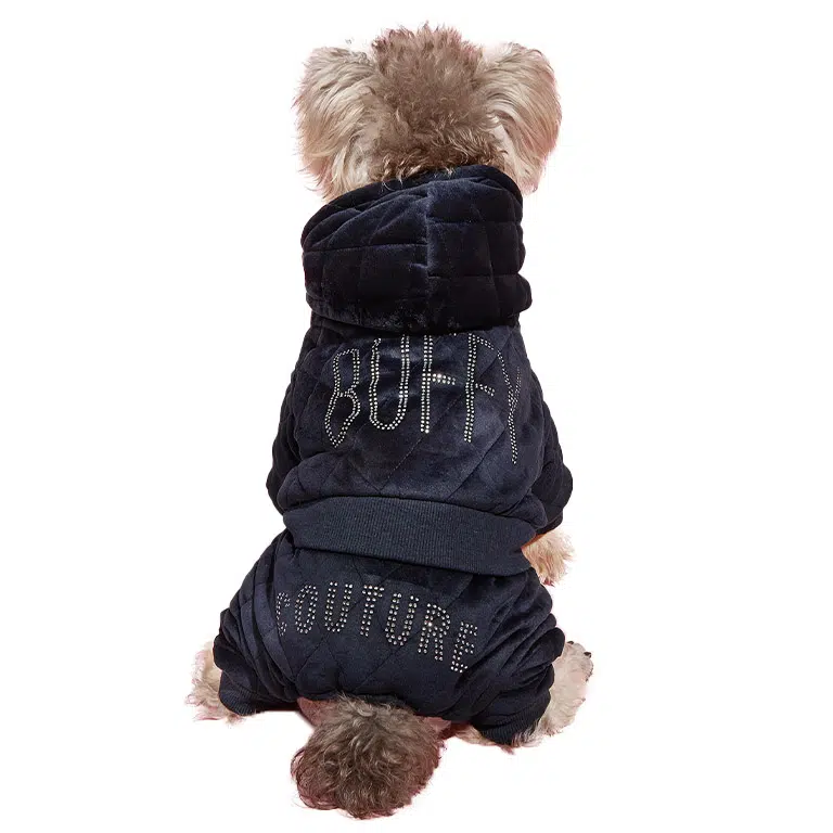 juicy couture dog tracksuit