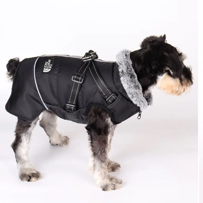 the north face dog jacket (1)