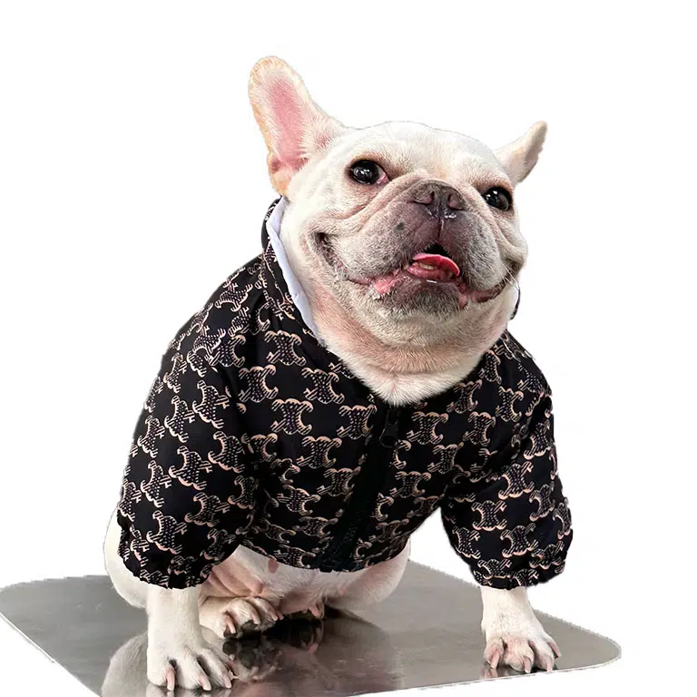 designer dog coats for winter