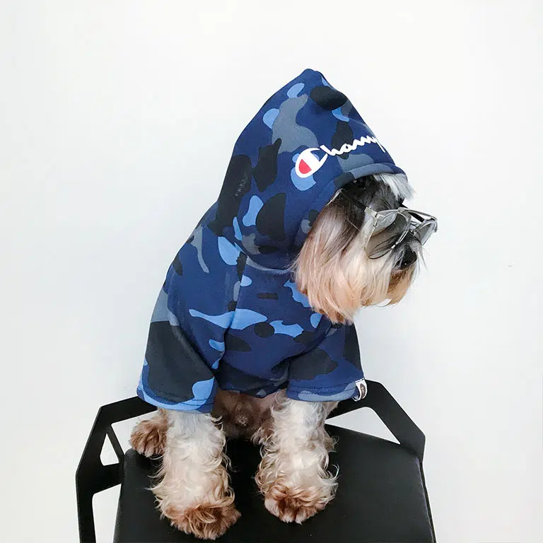 camo dog hoodie