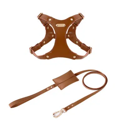 leather puppy harness for small dogs