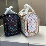 lv pet carrier
