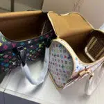 lv pet carrier