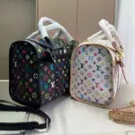 lv pet carrier