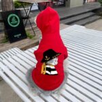 gucci dog apparel​