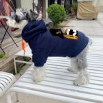 gucci dog apparel​