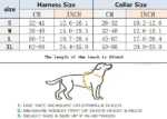 gucci harness for dogs