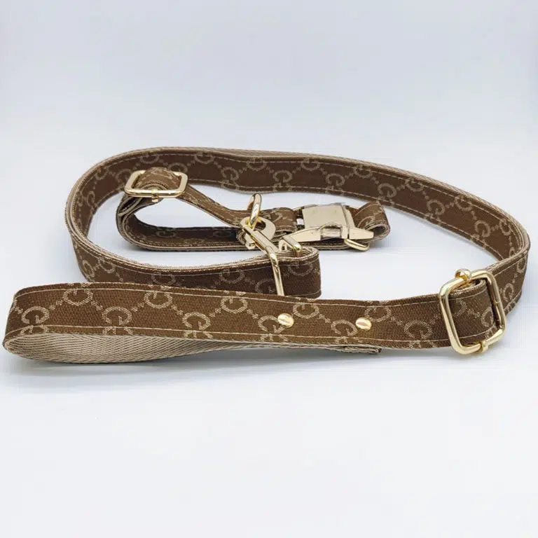 gucci harness for dogs