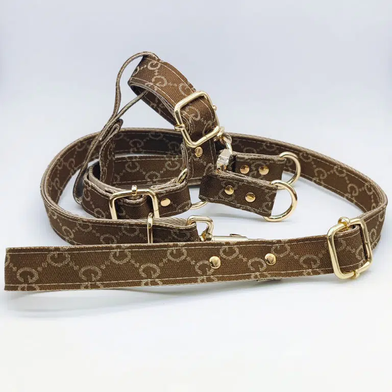 gucci harness for dogs
