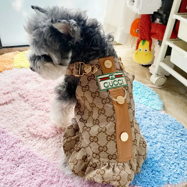 Gucci Small Dog Harness Dress