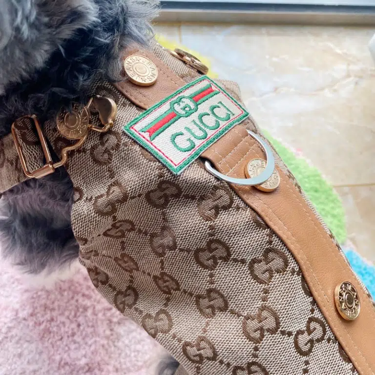 Gucci Small Dog Harness Dress
