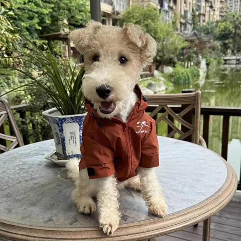 arc'teryx dog jacket for small and large dog
