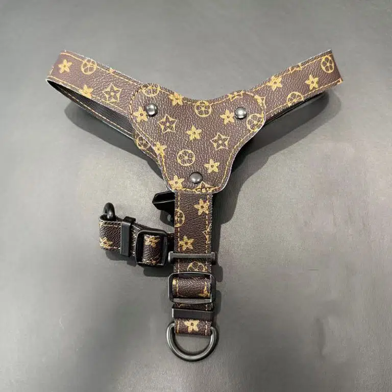 greyhound LV dog harness
