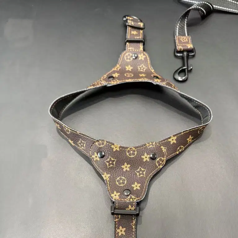 greyhound LV dog harness