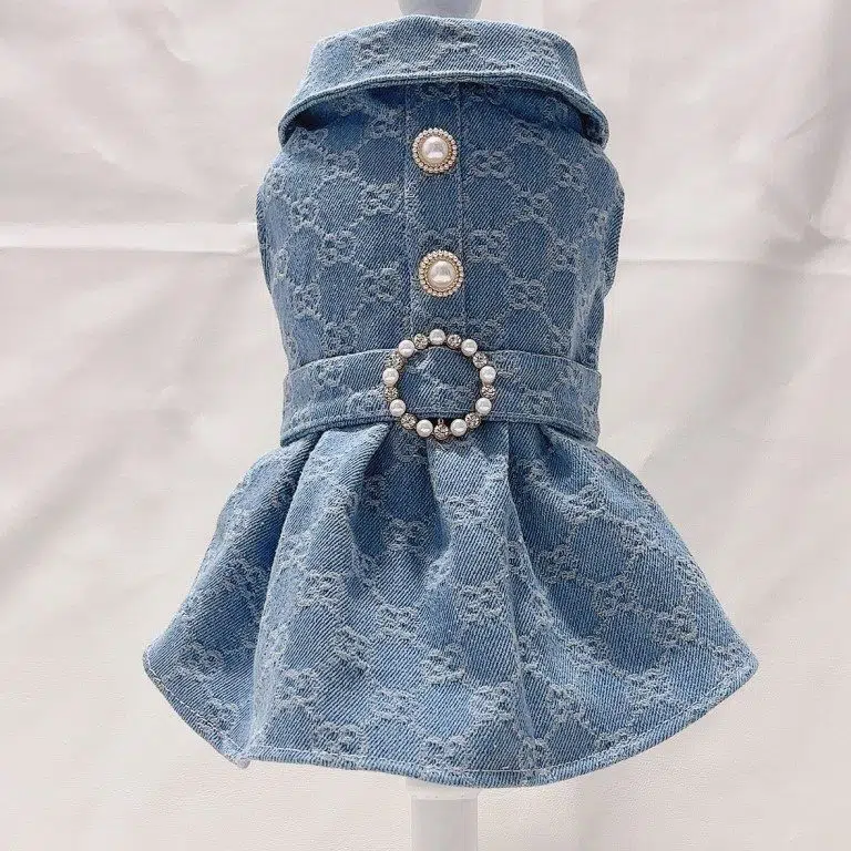 gucci dress for dogs