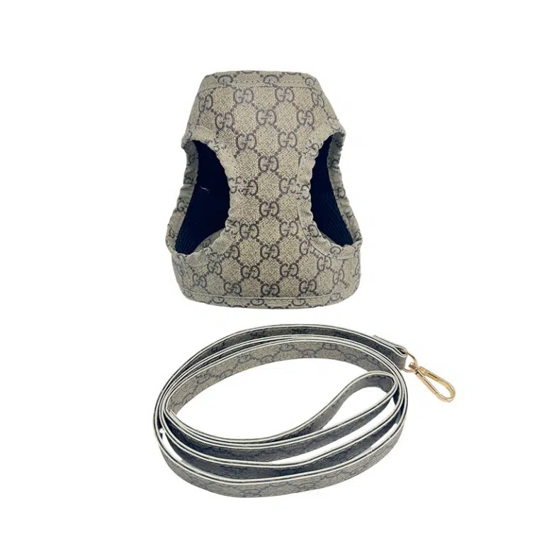 gucci leather dog harness and leash