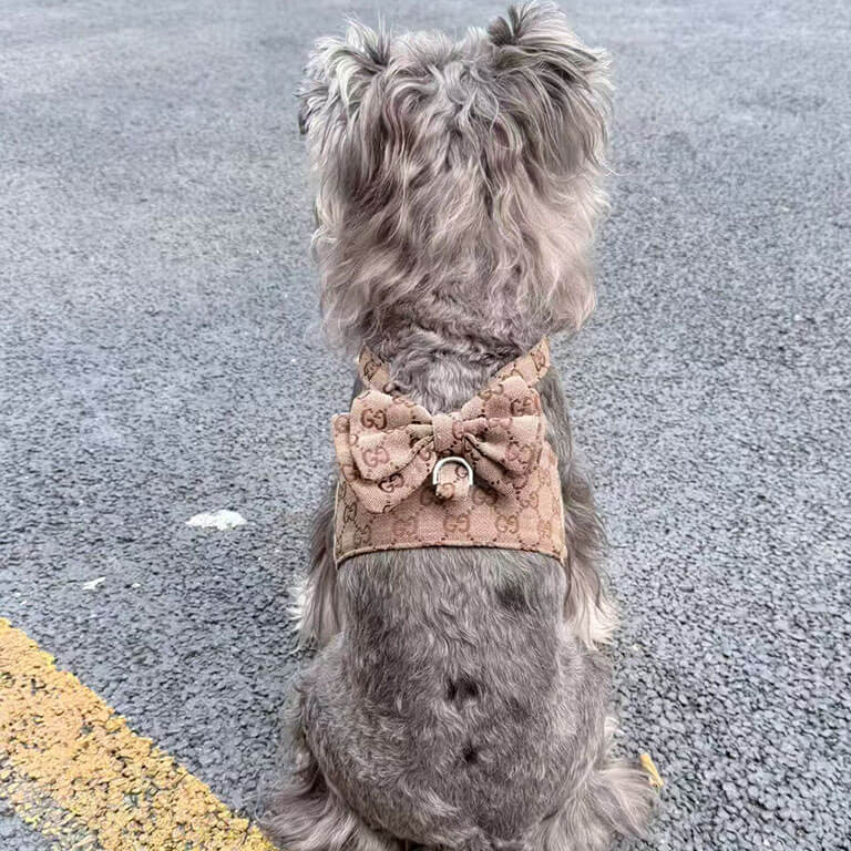 gucci khaki harness for dog