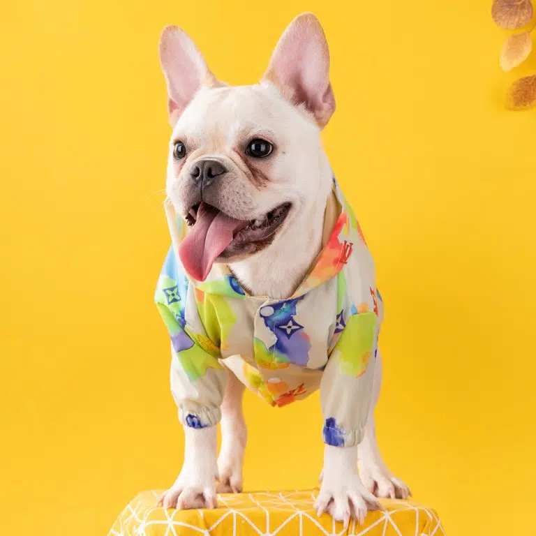 lv dog hoodie for small dog