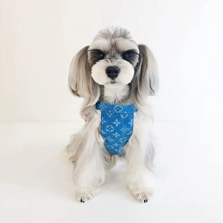 lv-dog-vest-harness