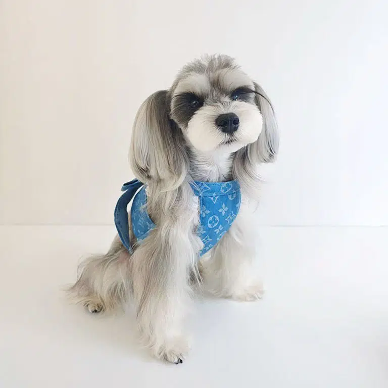 lv-dog-vest-harness