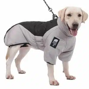 Big dog outdoor jacket (7)
